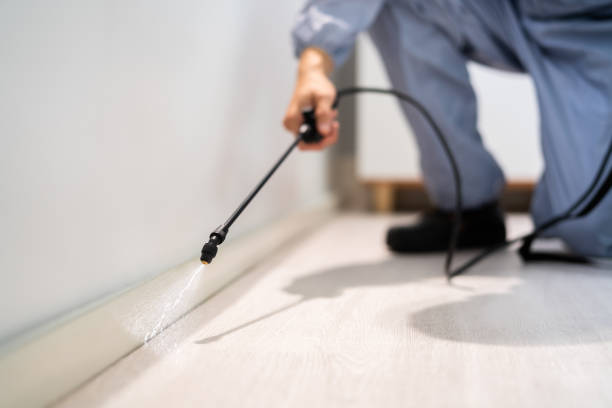 Professional exterminator conducting IPM assessment in Drexel Heights